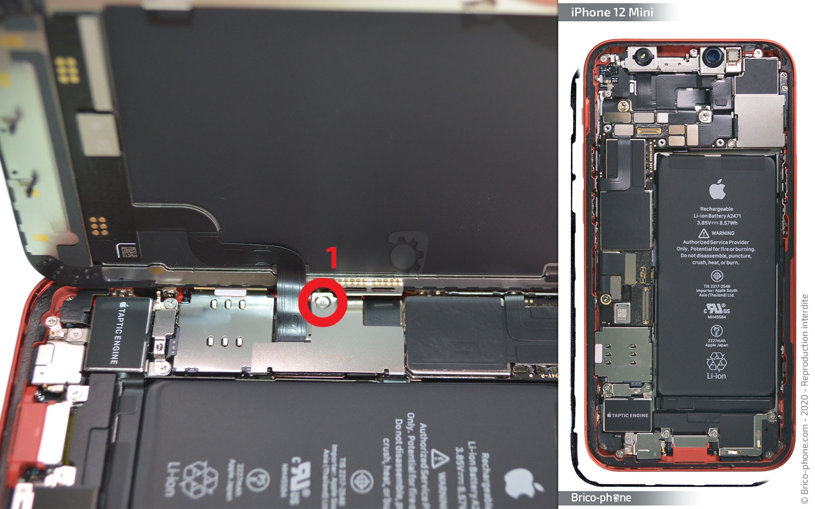 Changement de batterie sur iPhone 12 Mini photo 1