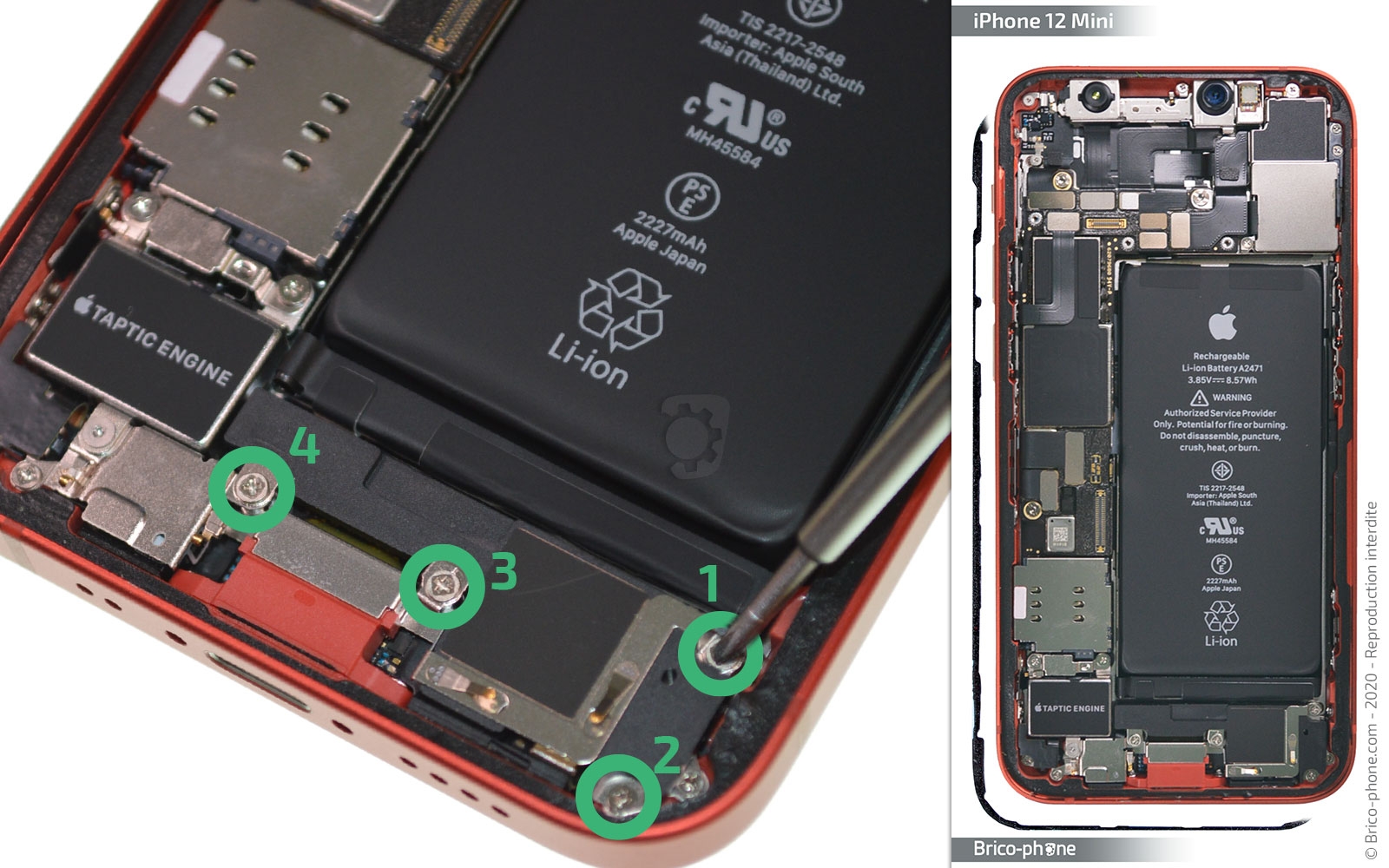 Changement de batterie sur iPhone 12 Mini photo 1