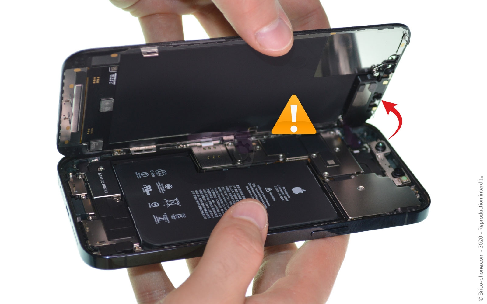 Changement de l'écran (vitre + Oled) sur iPhone 12 Pro Max photo 4