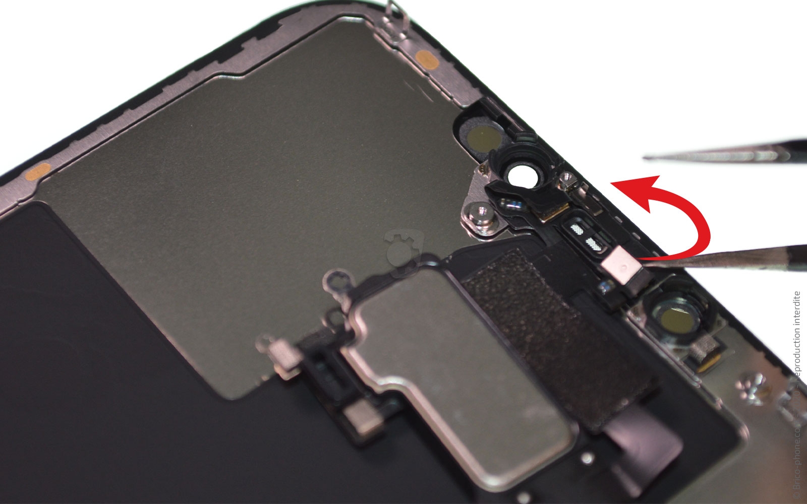 Changement de l'écran (vitre + Oled) sur iPhone 12 Pro Max photo 1