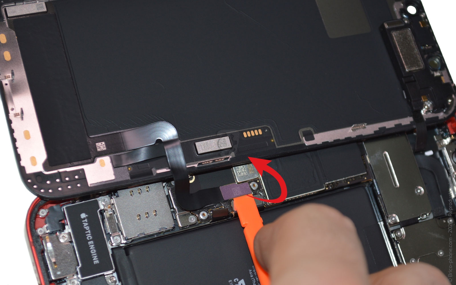 Démontage complet sur iPhone 12 photo 1