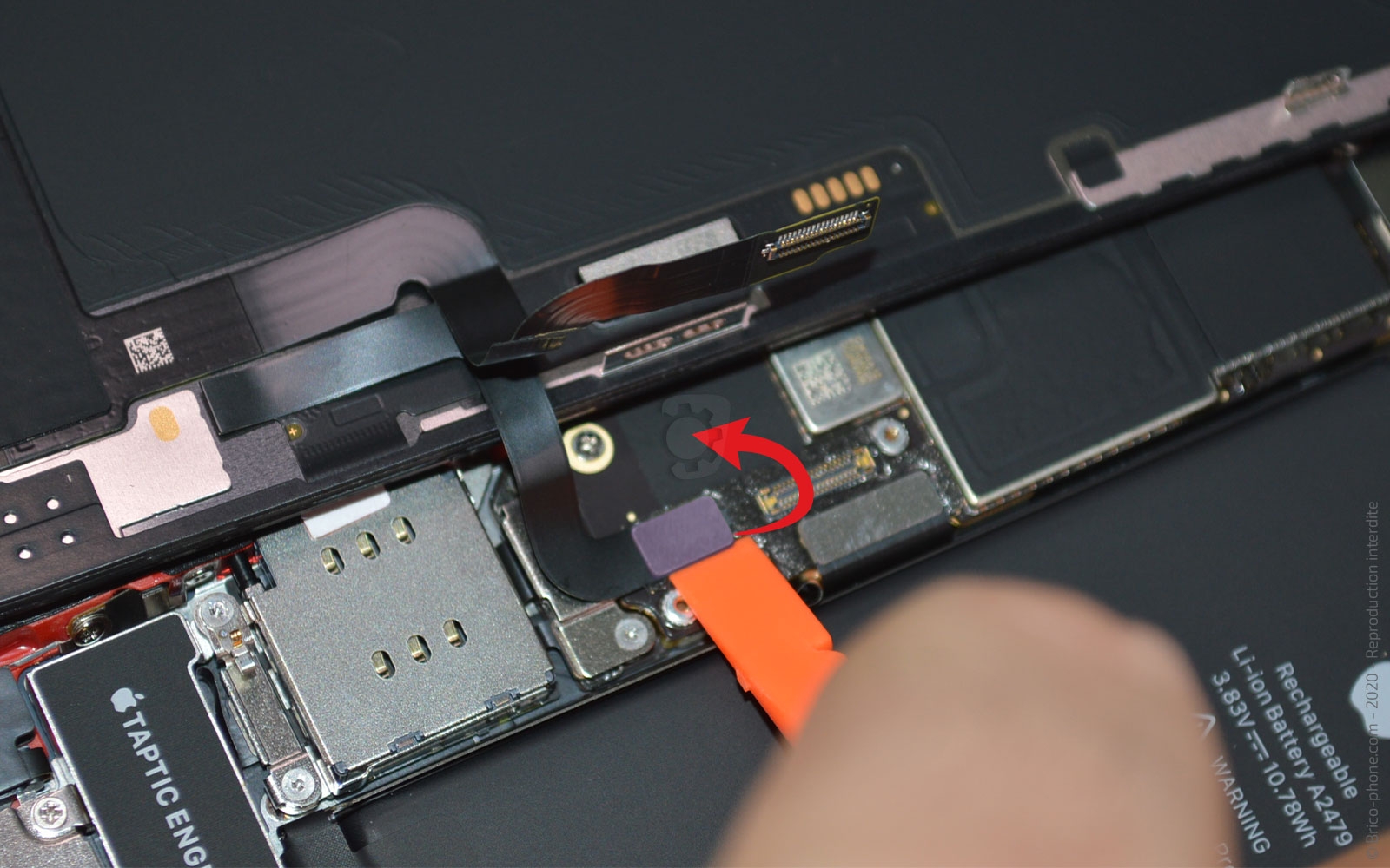 Démontage complet sur iPhone 12 photo 2