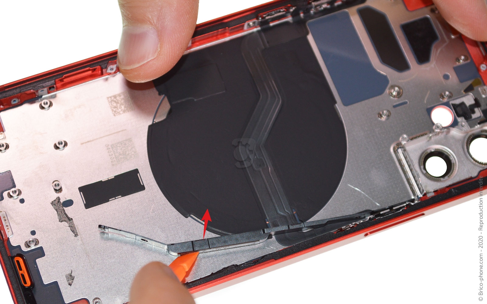 Démontage complet sur iPhone 12 photo 1
