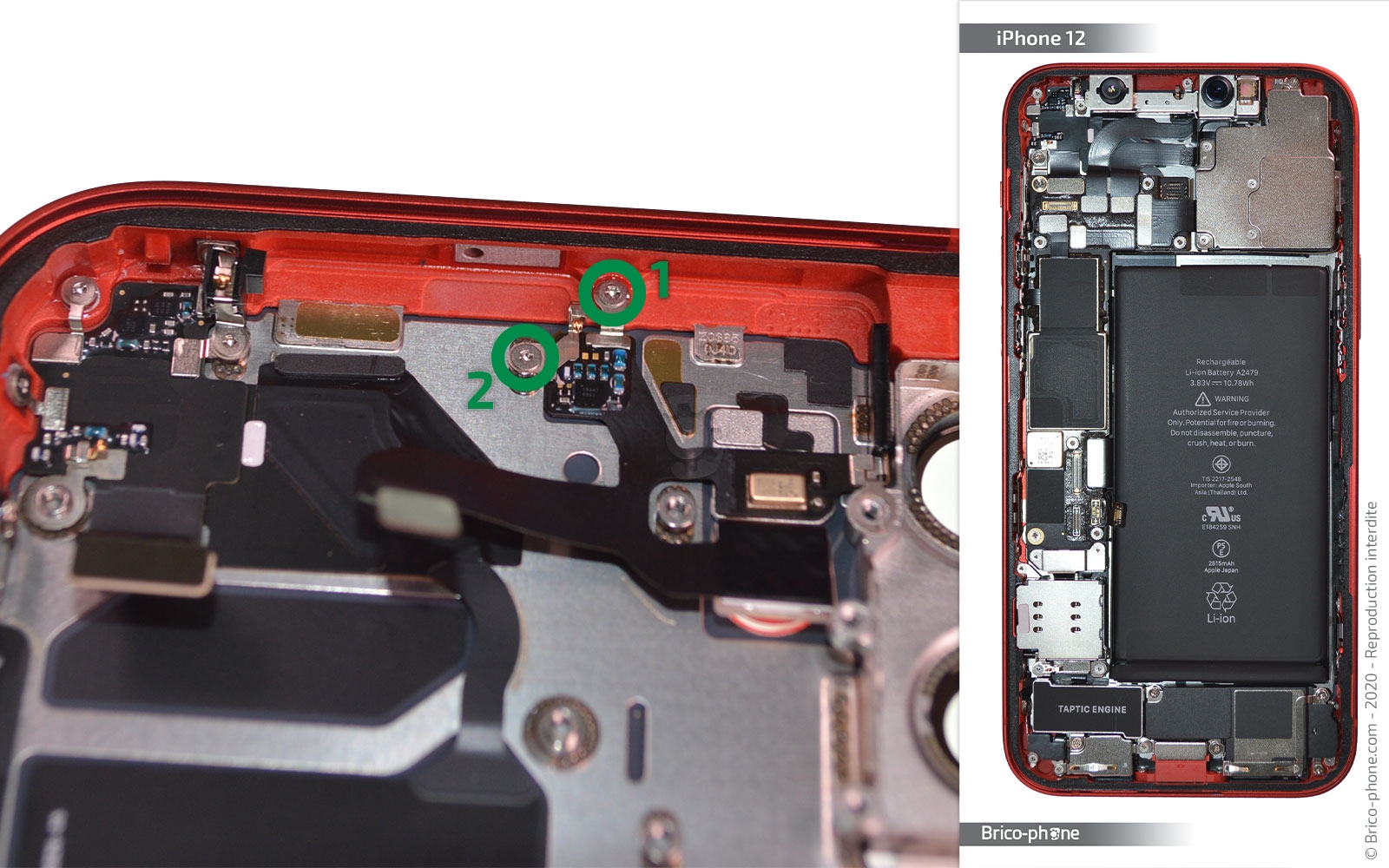 Démontage complet sur iPhone 12 photo 1