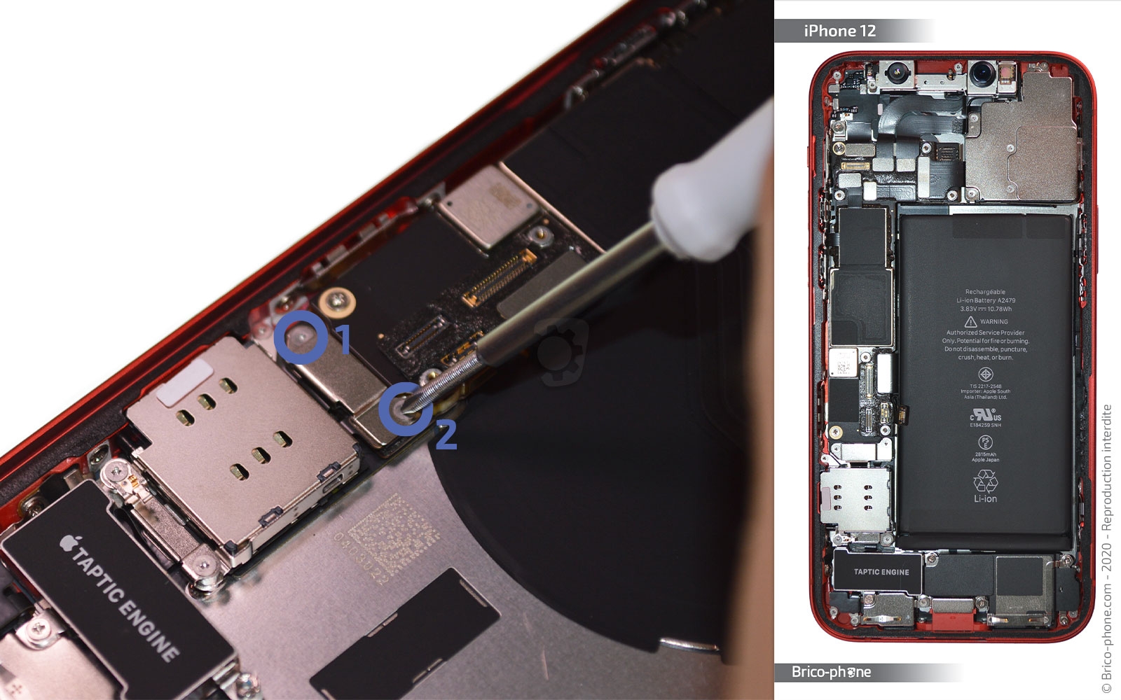 Démontage complet sur iPhone 12 photo 1