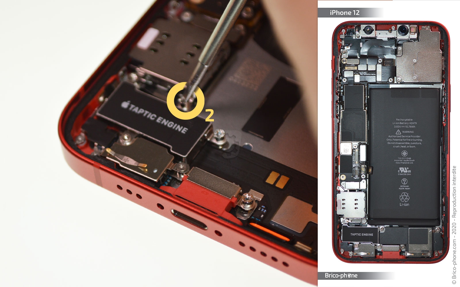 Démontage complet sur iPhone 12 photo 1