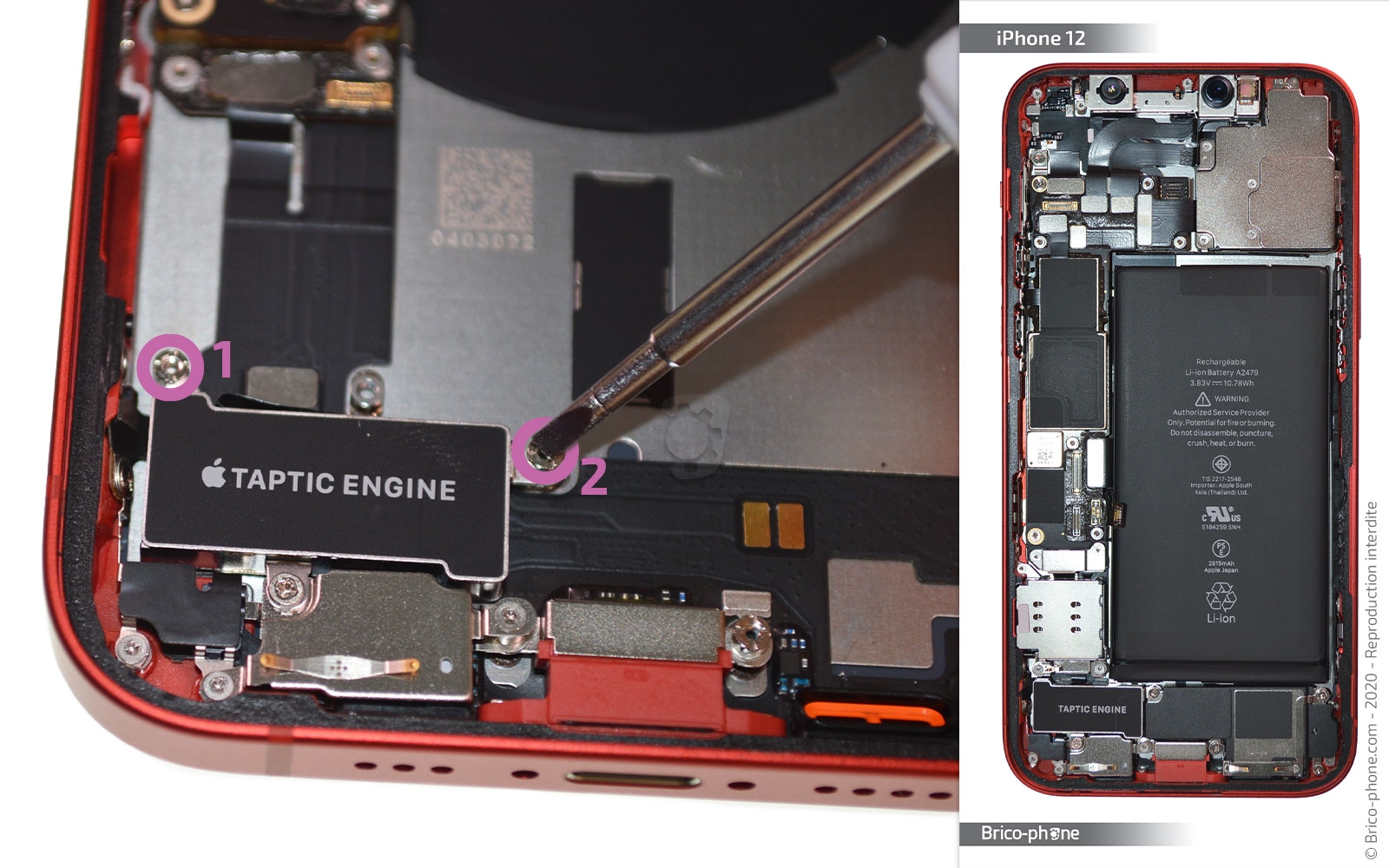 Démontage complet sur iPhone 12 photo 1