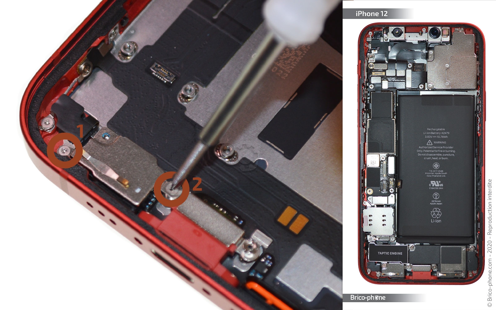 Démontage complet sur iPhone 12 photo 1