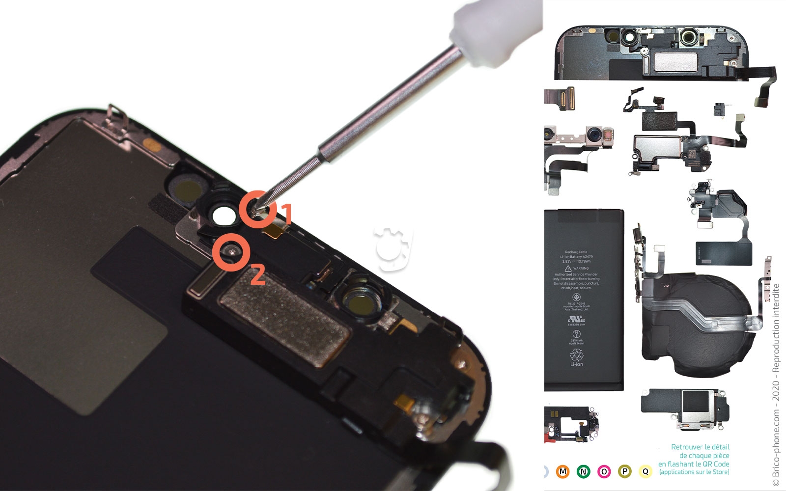 Démontage complet sur iPhone 12 photo 1