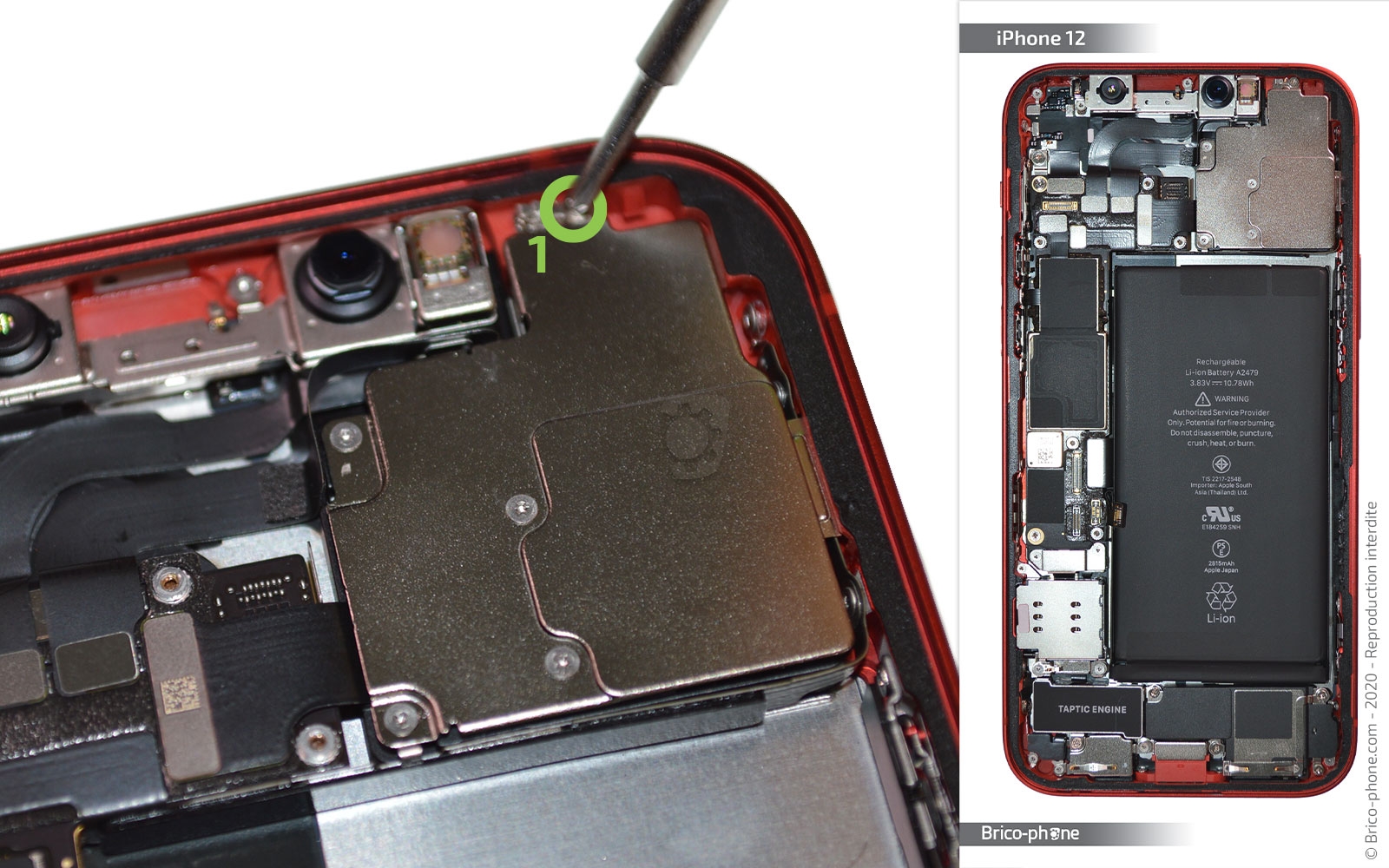 Démontage complet sur iPhone 12 photo 1