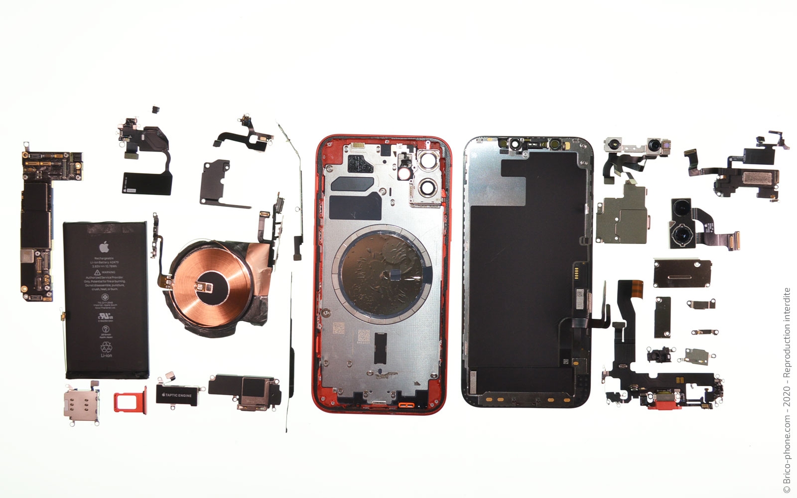 Démontage complet sur iPhone 12 photo 1