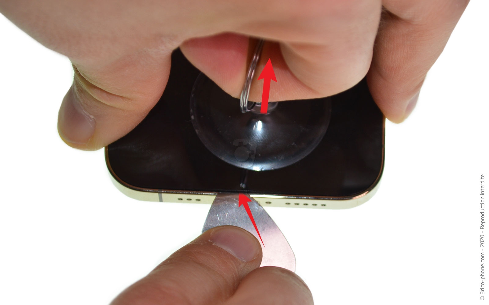 Changement du haut-parleur externe sur iPhone 12 Pro photo 2