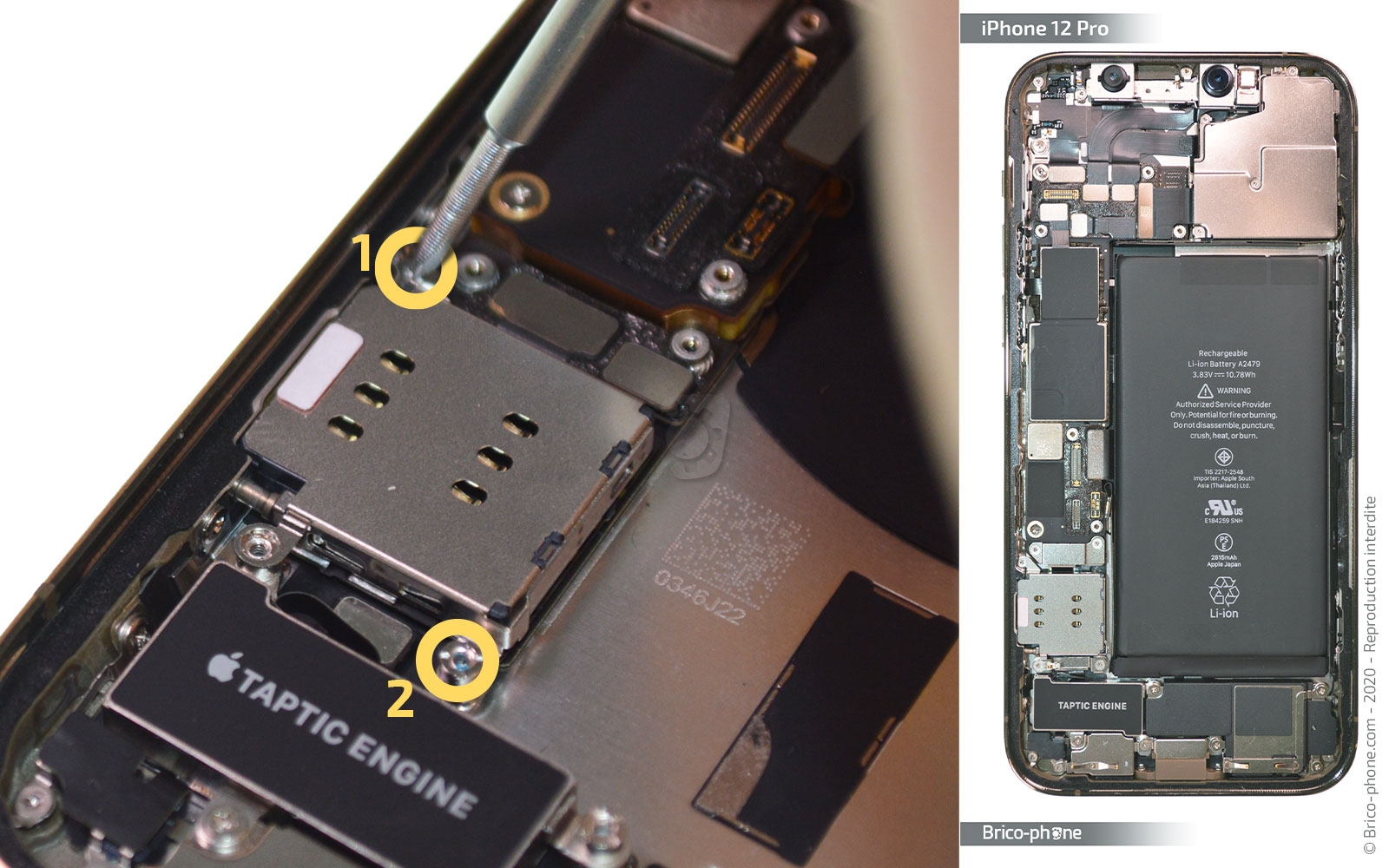 Remplacement du Taptic Engine (vibreur) sur iPhone 12 Pro photo 1