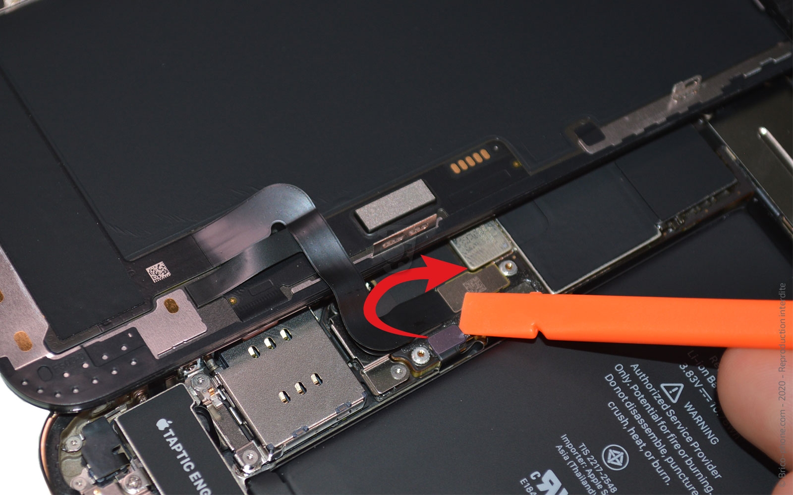 Remplacement du Taptic Engine (vibreur) sur iPhone 12 Pro photo 1