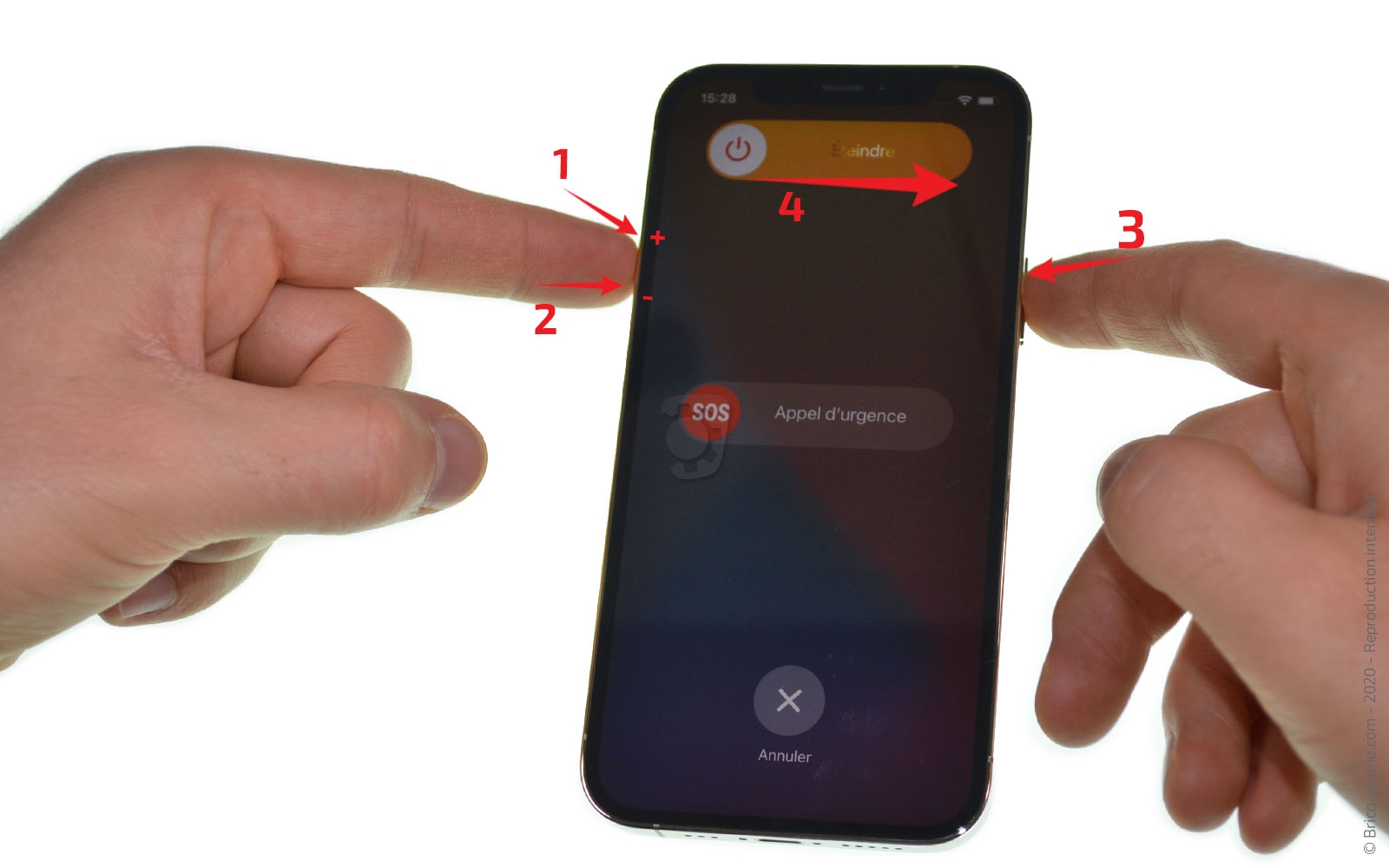 Démontage Complet sur iPhone 12 Pro photo 4