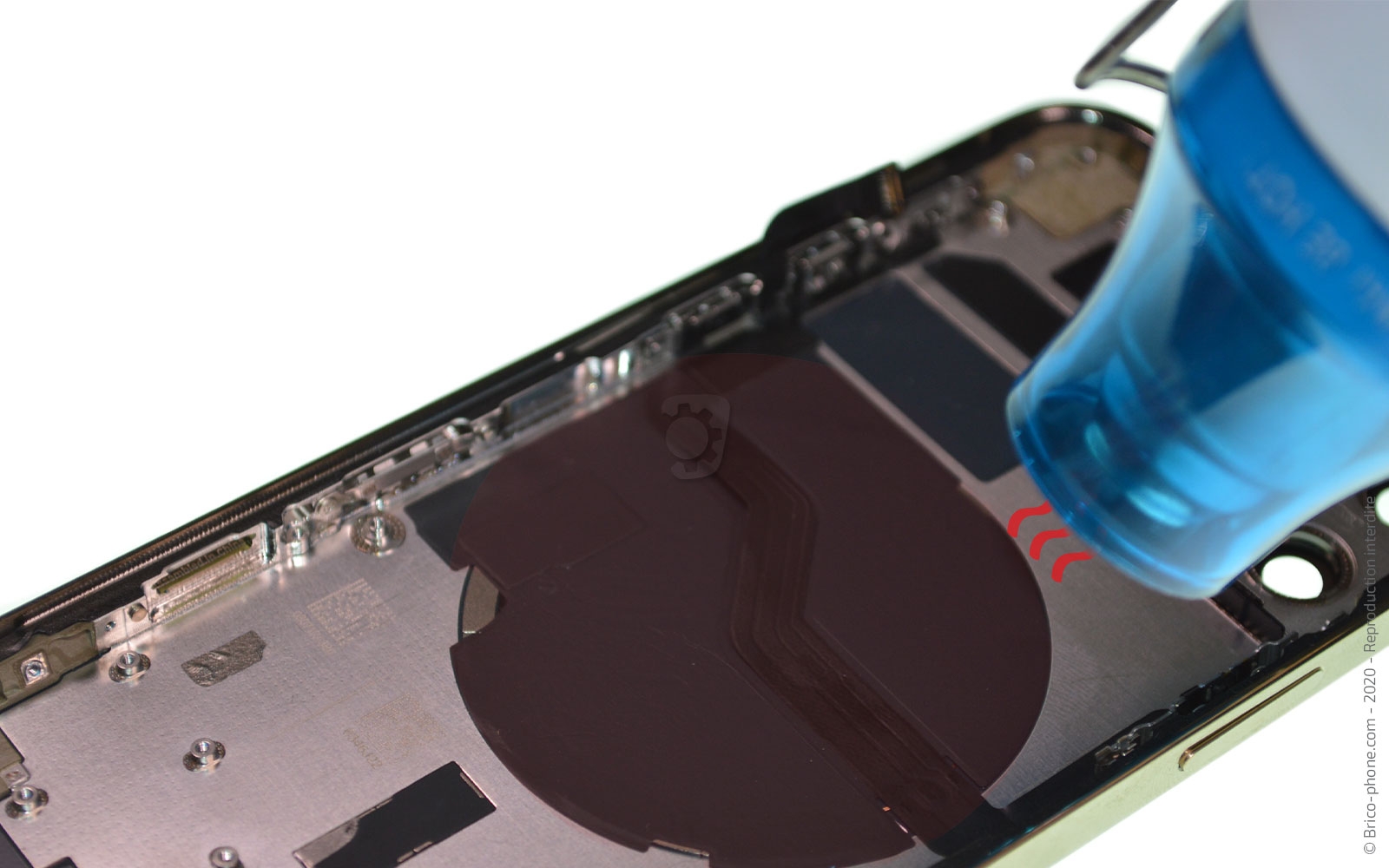 Démontage Complet sur iPhone 12 Pro photo 1