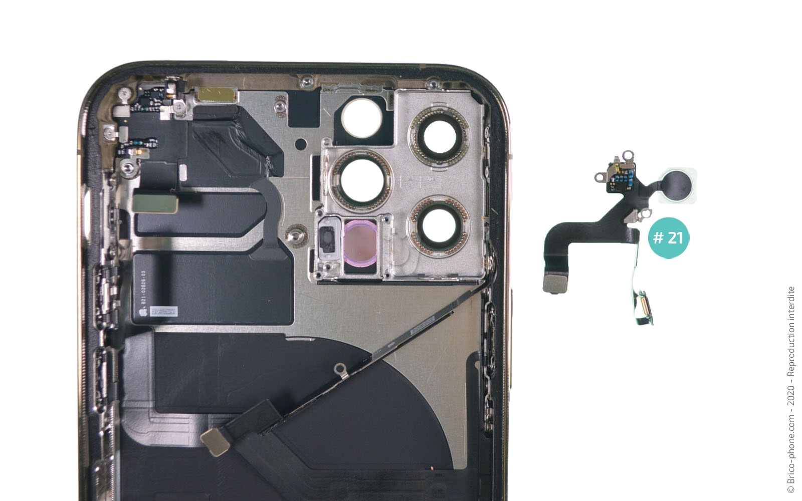 Démontage Complet sur iPhone 12 Pro photo 4