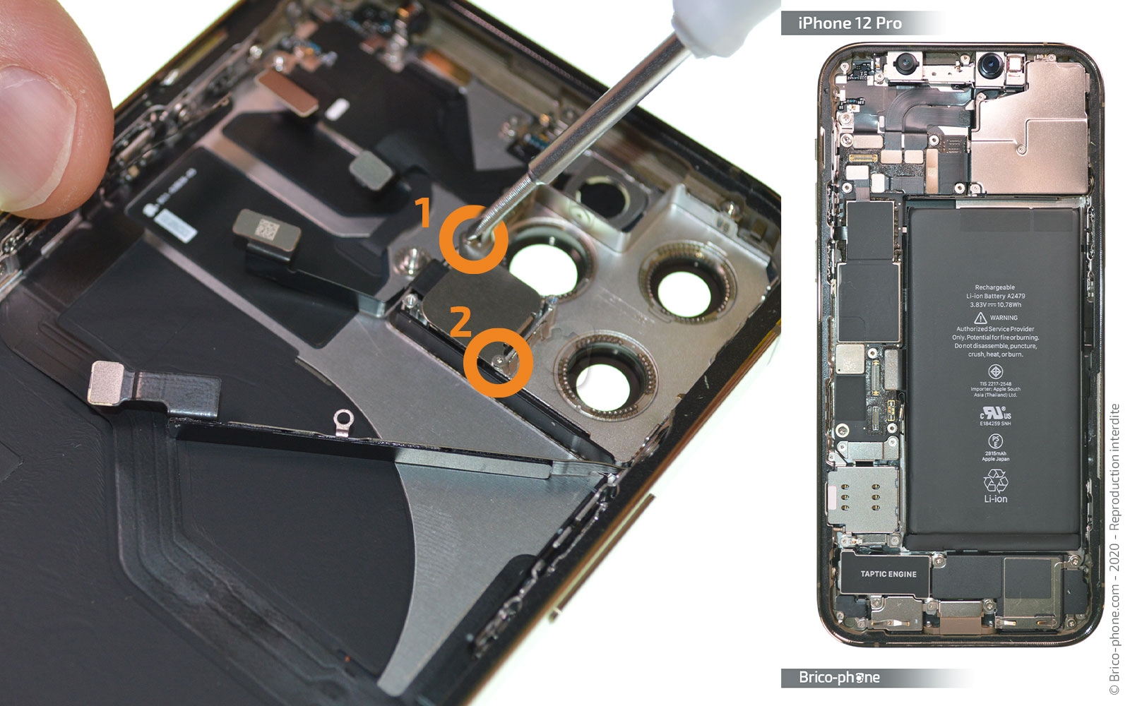 Démontage Complet sur iPhone 12 Pro photo 1