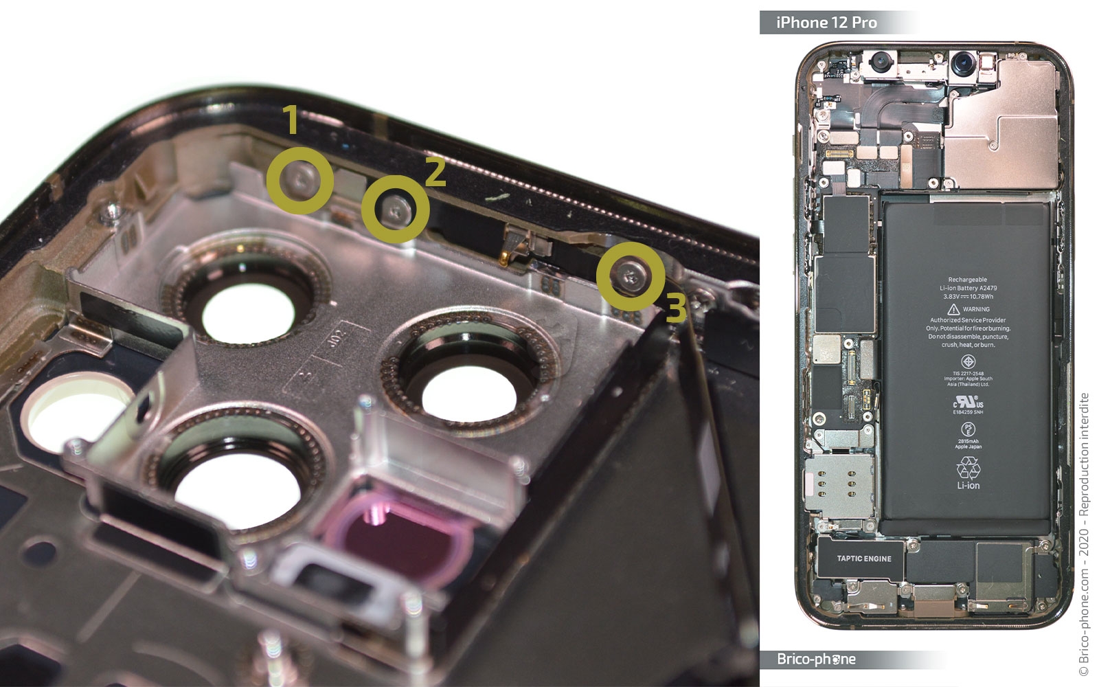 Démontage Complet sur iPhone 12 Pro photo 1