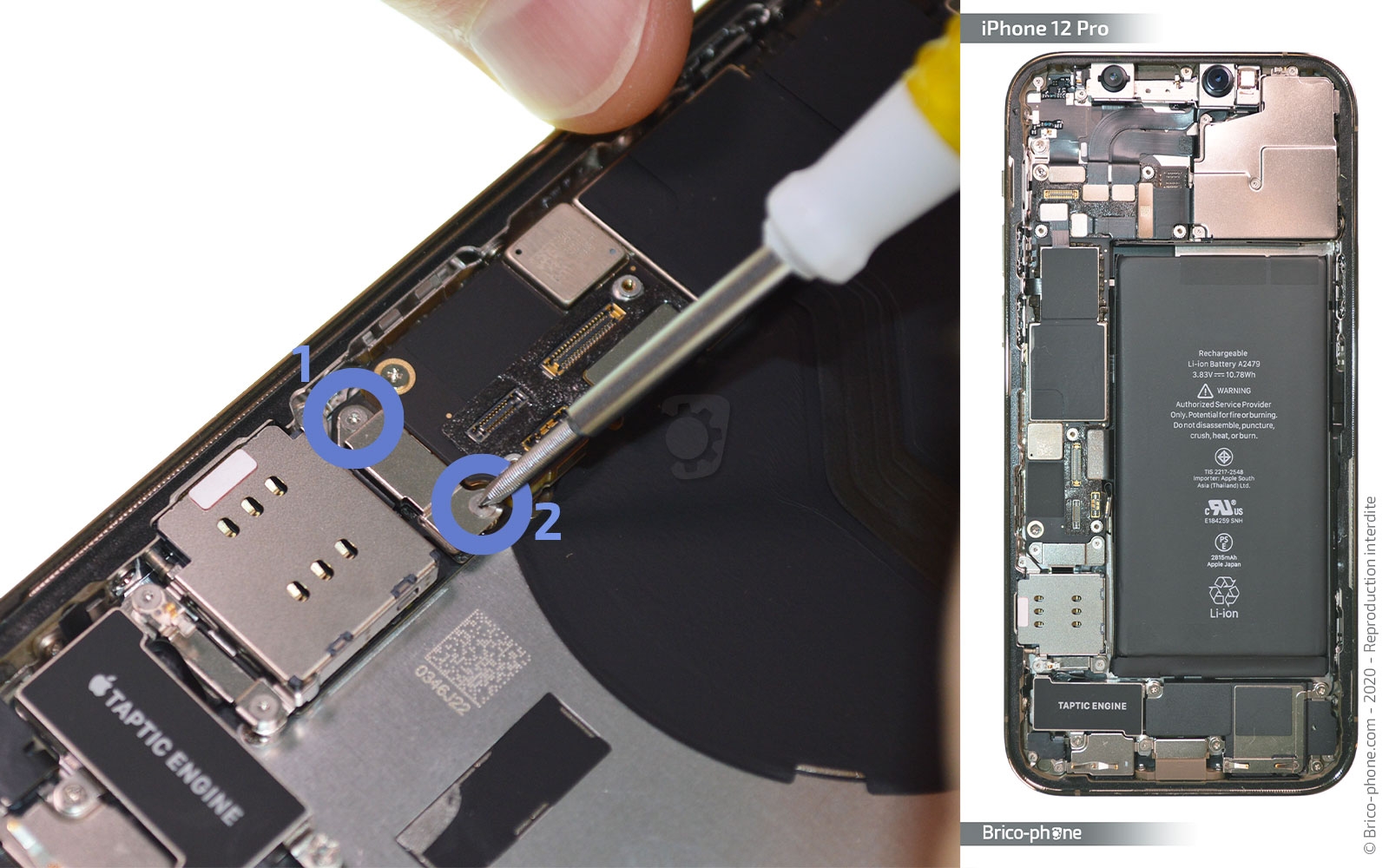 Démontage Complet sur iPhone 12 Pro photo 1
