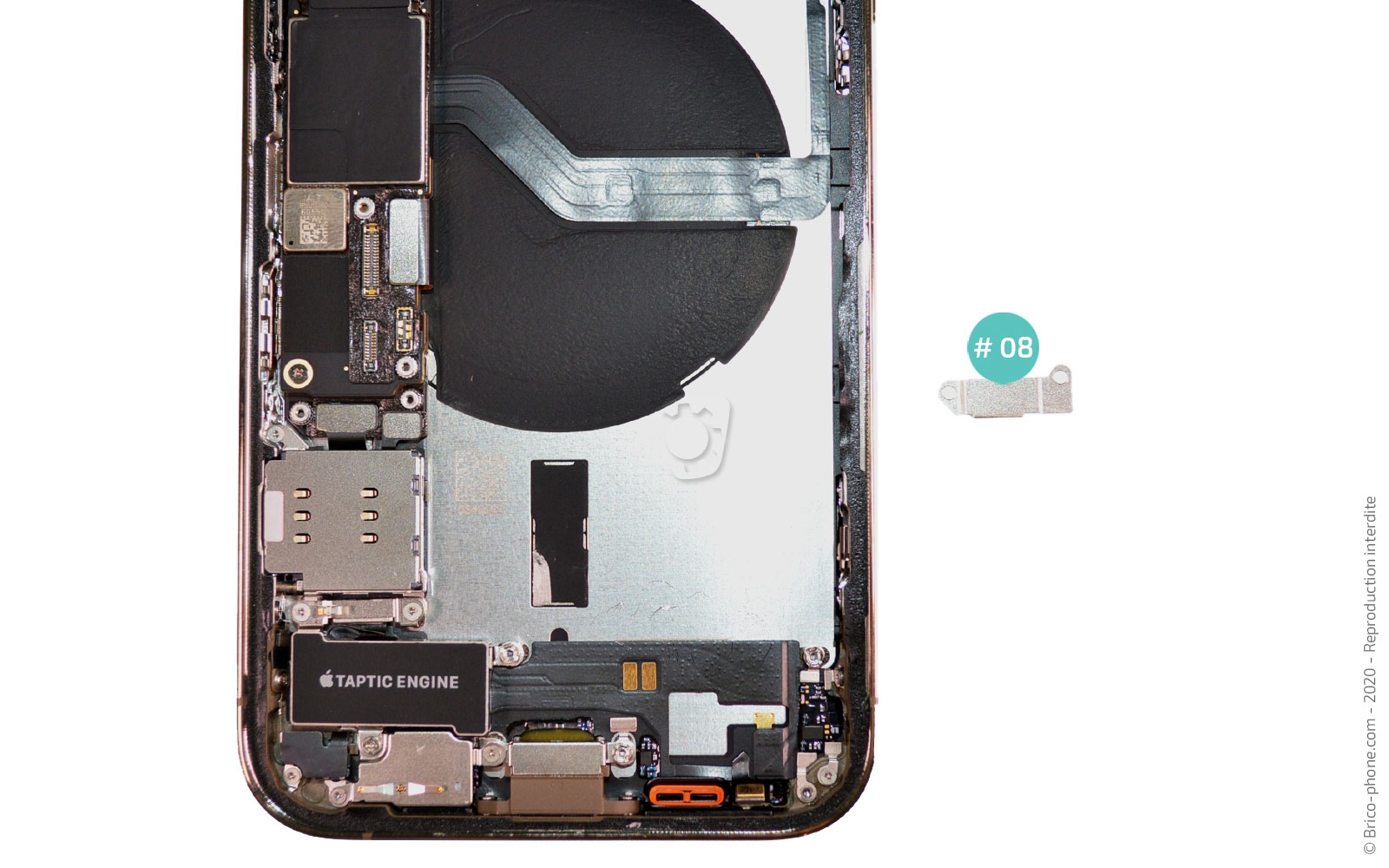 Démontage Complet sur iPhone 12 Pro photo 3