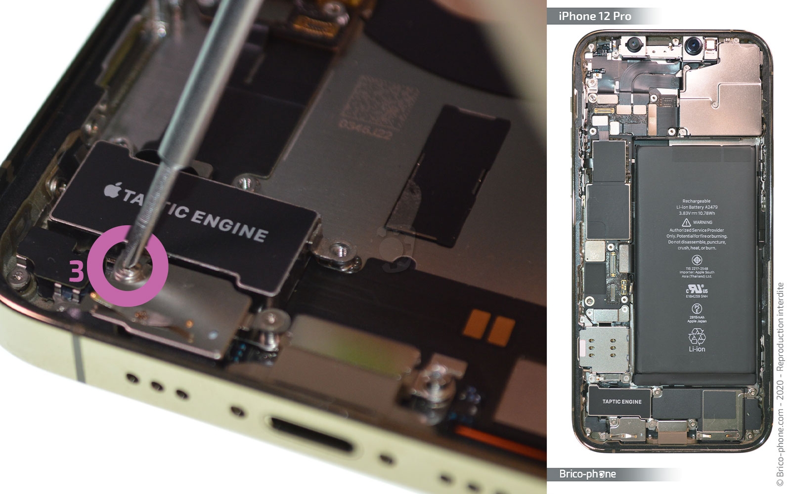 Démontage Complet sur iPhone 12 Pro photo 2