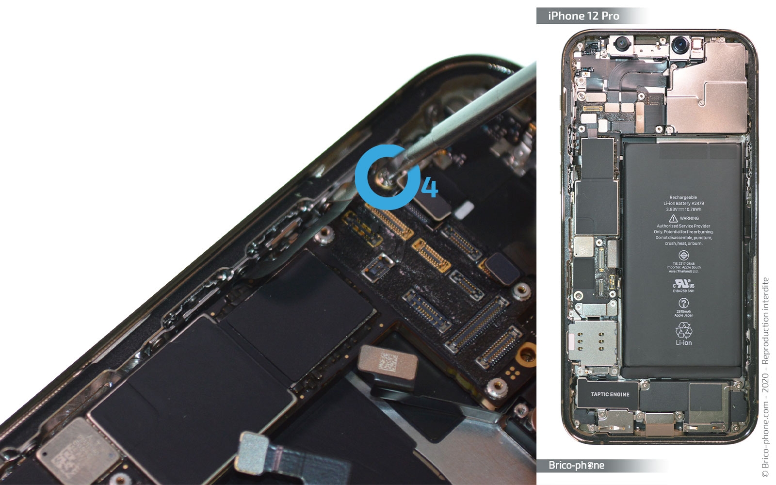 Démontage Complet sur iPhone 12 Pro photo 3