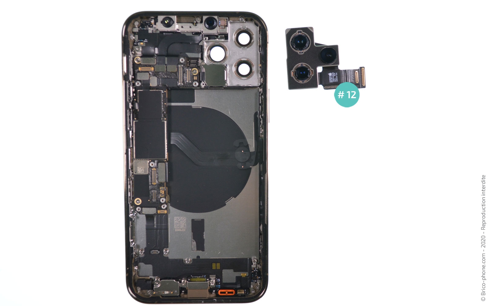 Démontage Complet sur iPhone 12 Pro photo 4