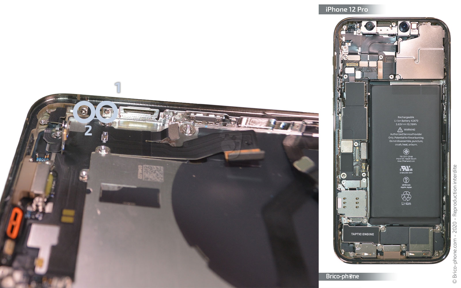 Démontage Complet sur iPhone 12 Pro photo 2