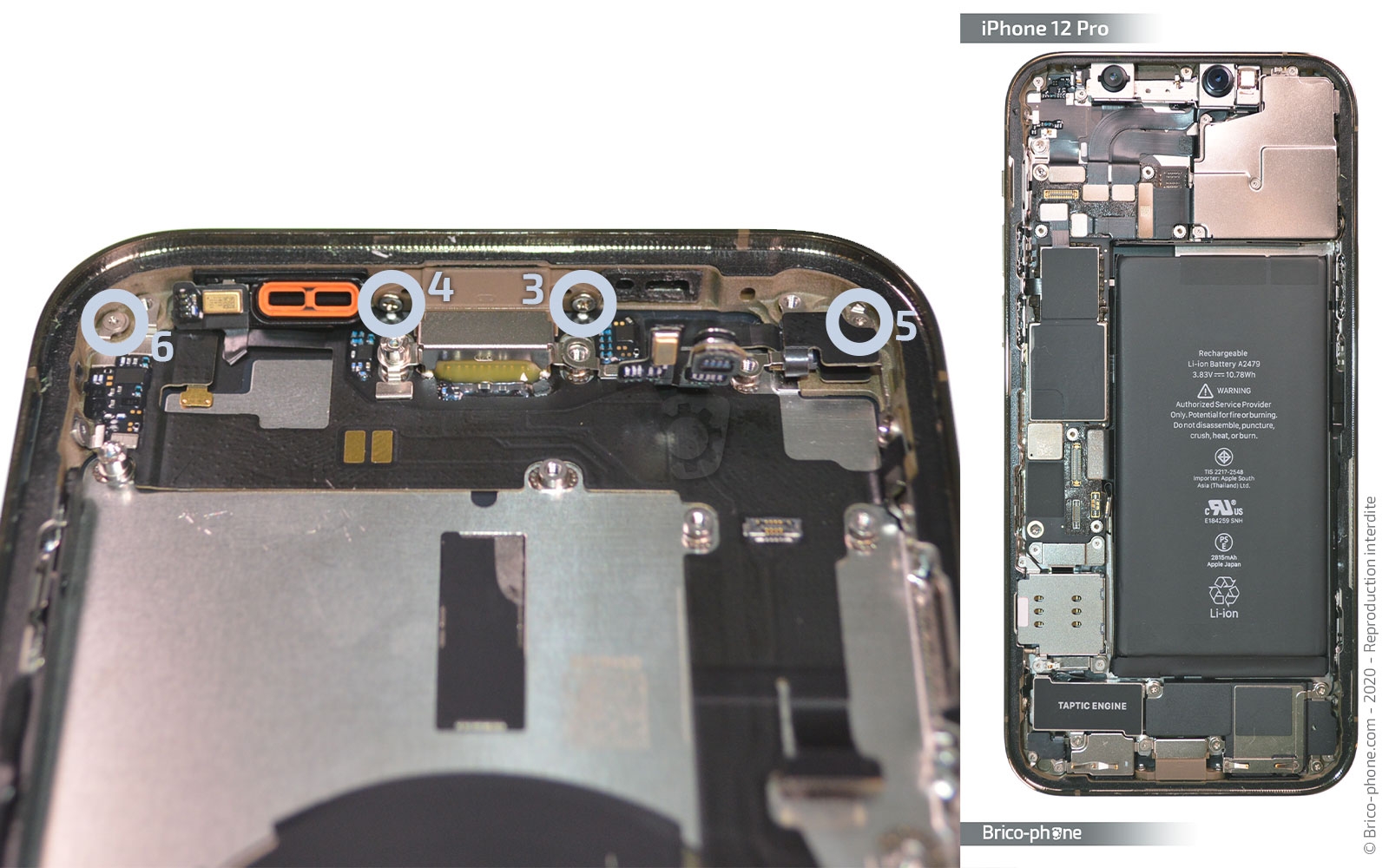 Démontage Complet sur iPhone 12 Pro photo 3