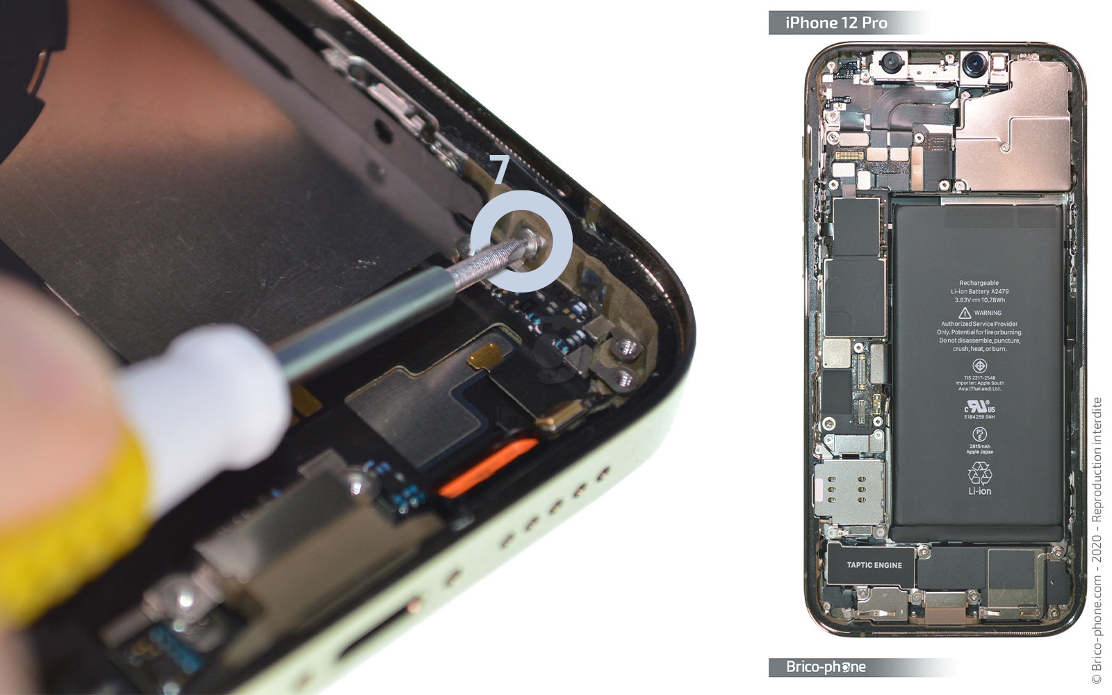 Démontage Complet sur iPhone 12 Pro photo 4