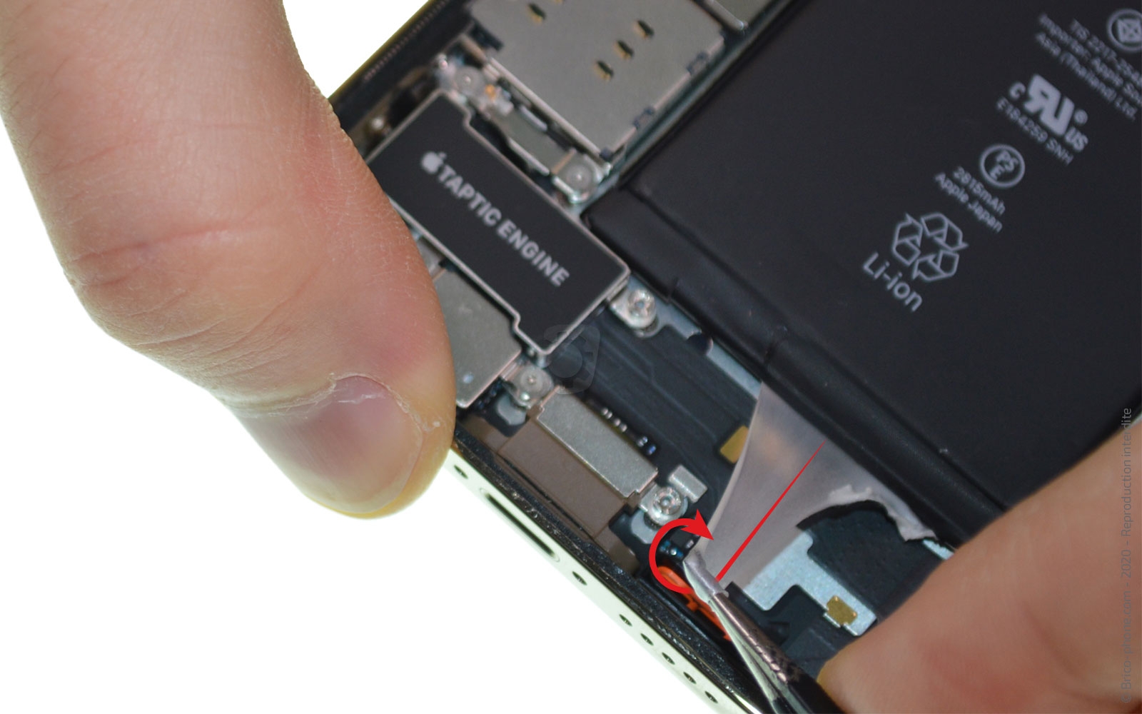 Démontage Complet sur iPhone 12 Pro photo 3