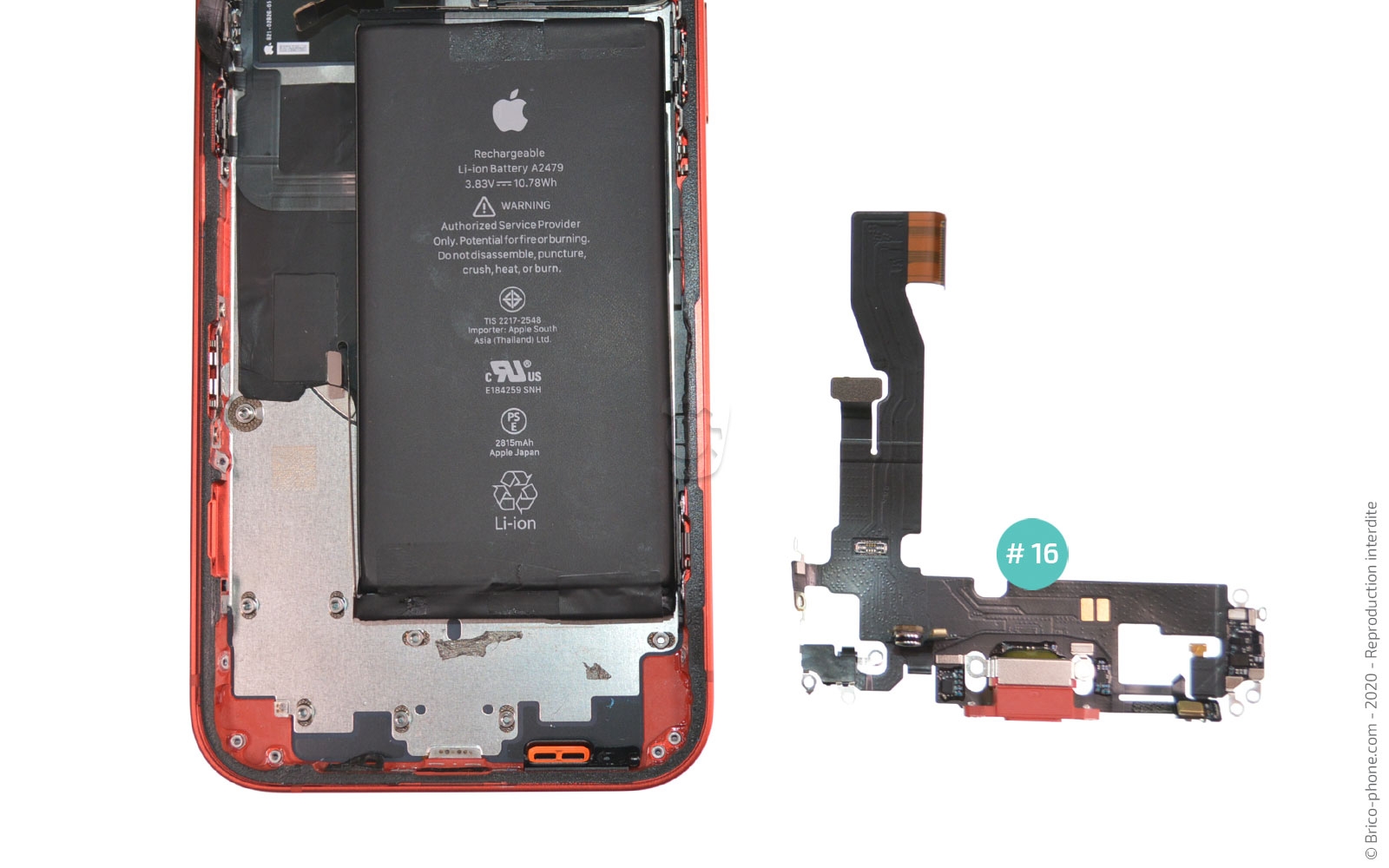 Changement du connecteur de charge sur iPhone 12 photo 4