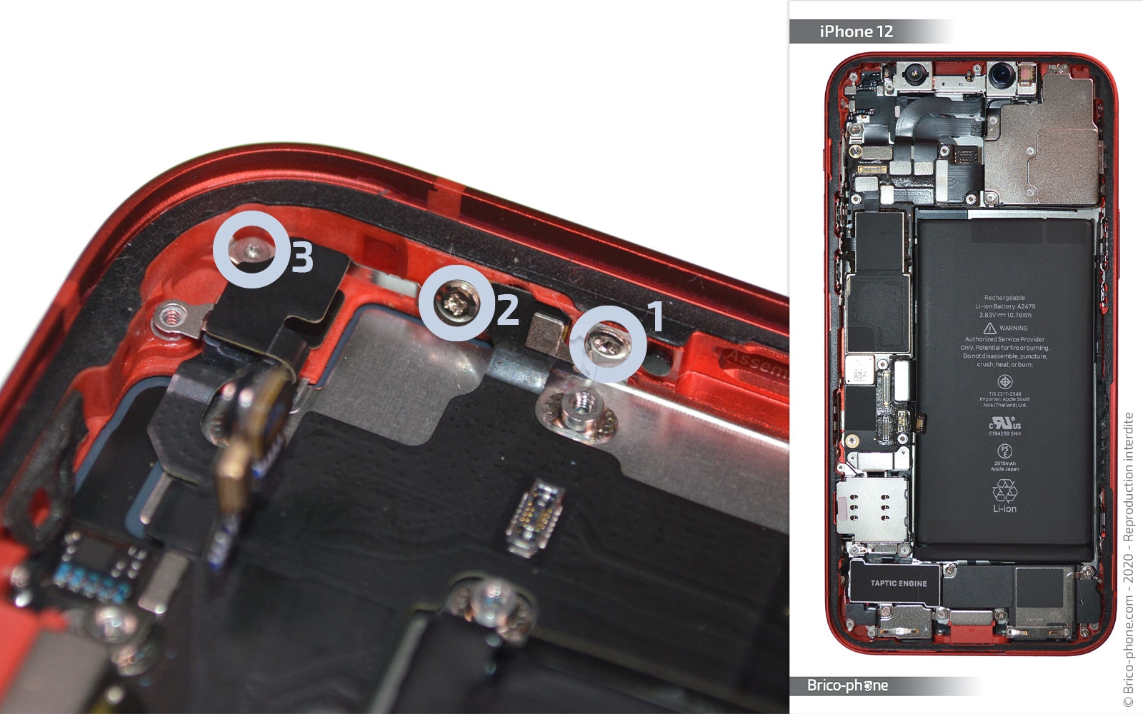 Changement du connecteur de charge sur iPhone 12 photo 4