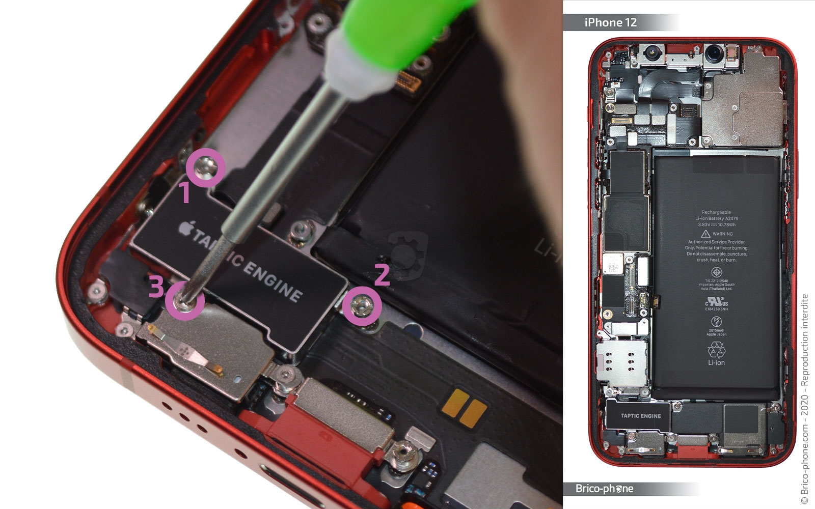 Changement du connecteur de charge sur iPhone 12 photo 1