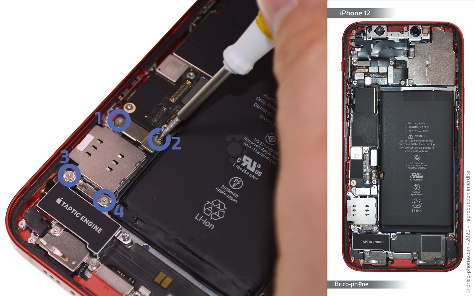 Changement du connecteur de charge sur iPhone 12 photo 1