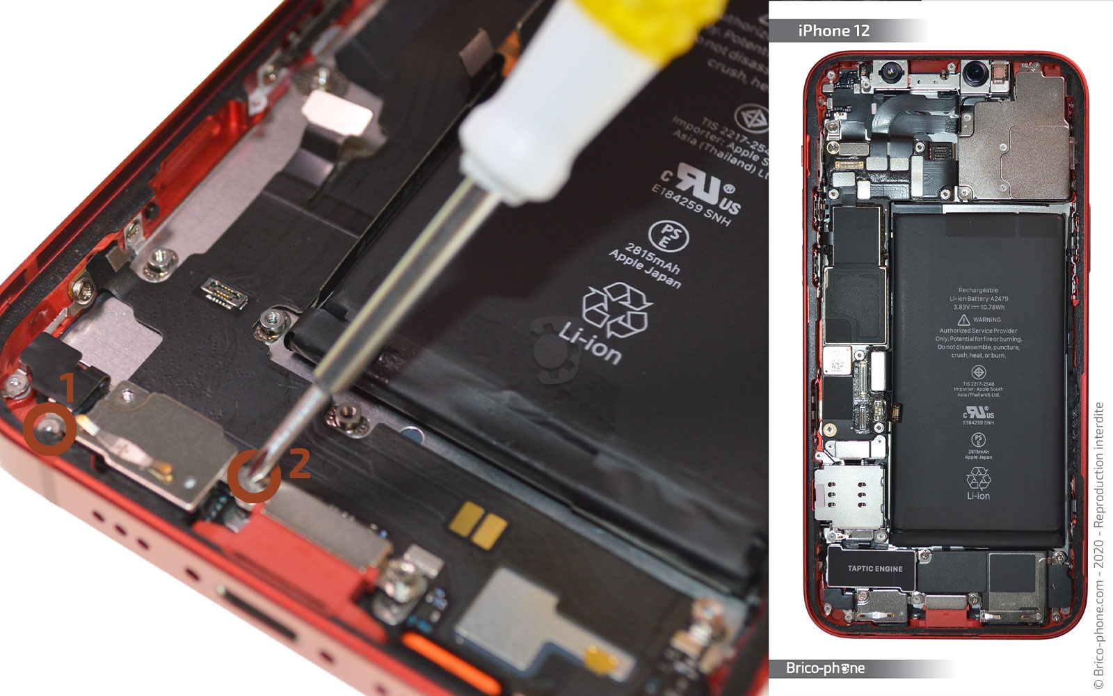 Changement du connecteur de charge sur iPhone 12 photo 1
