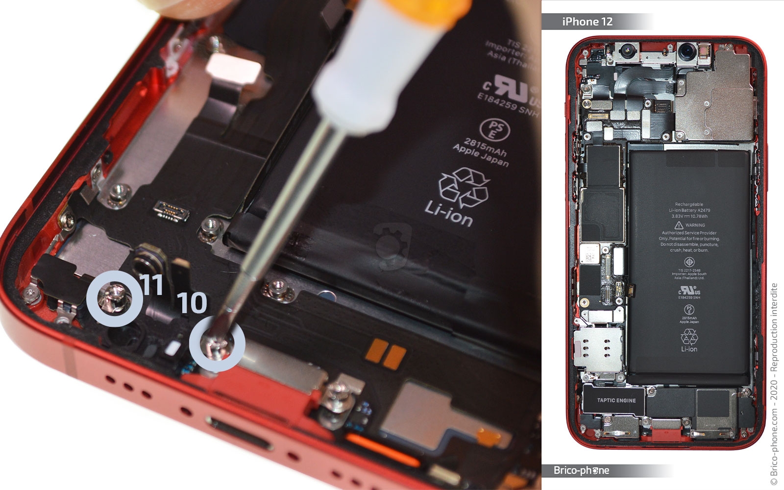 Changement du connecteur de charge sur iPhone 12 photo 1