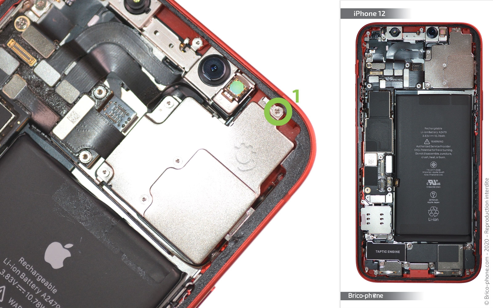 Changement du bloc caméras arrière sur iPhone 12 photo 1