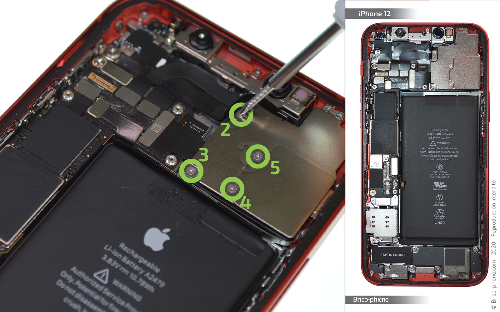 Plaque Métallique + Vis Pour Fixation Camera Arrière IPhone 8 (Original, Occasion)