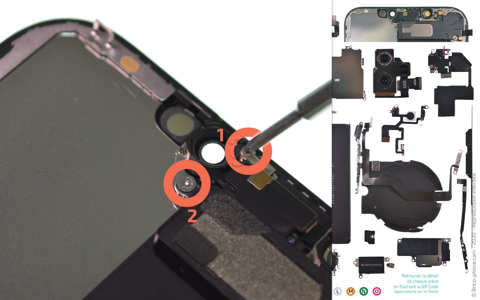 Démontage complet sur iPhone 12 Pro Max photo 2