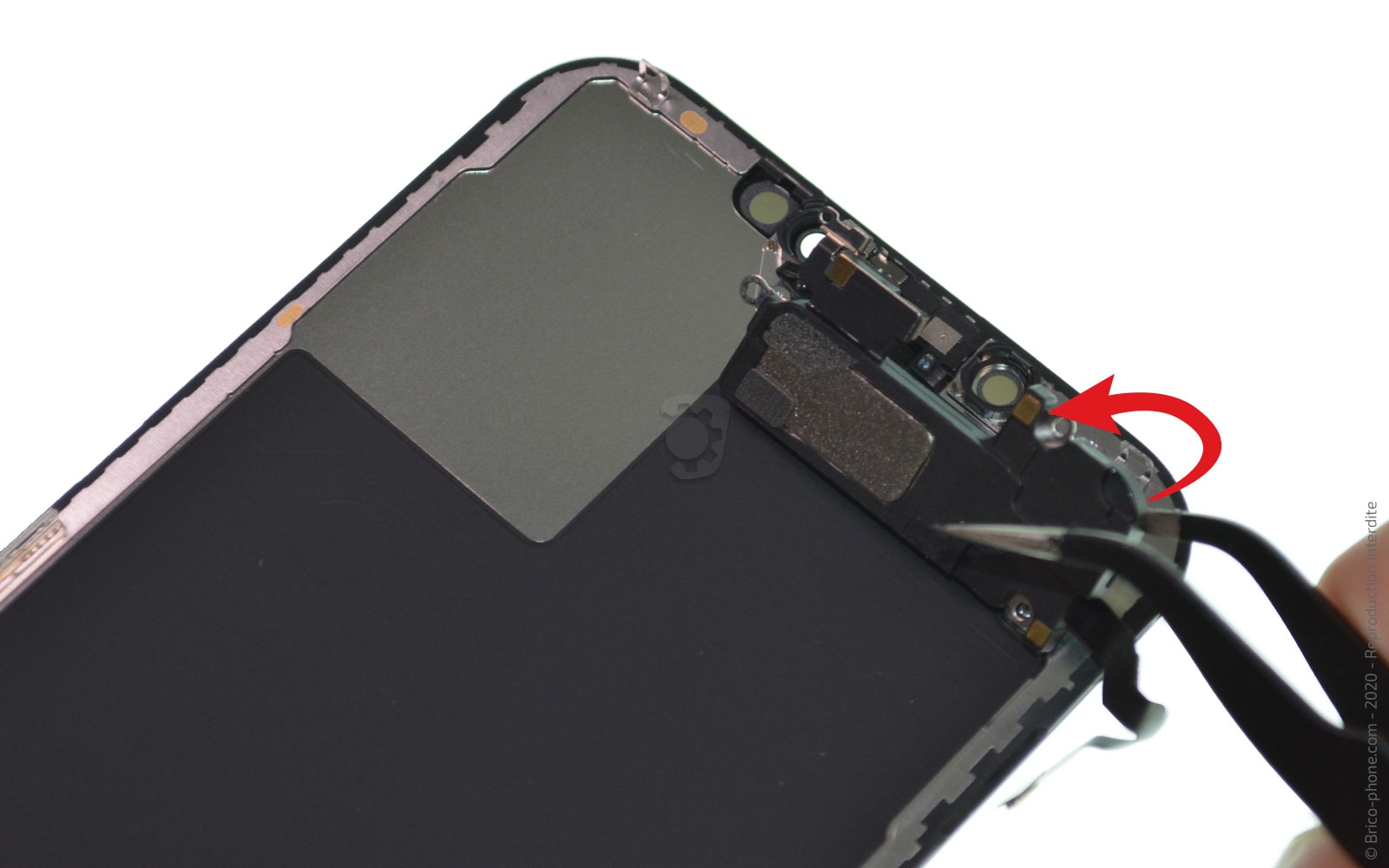 Démontage complet sur iPhone 12 Pro Max photo 3