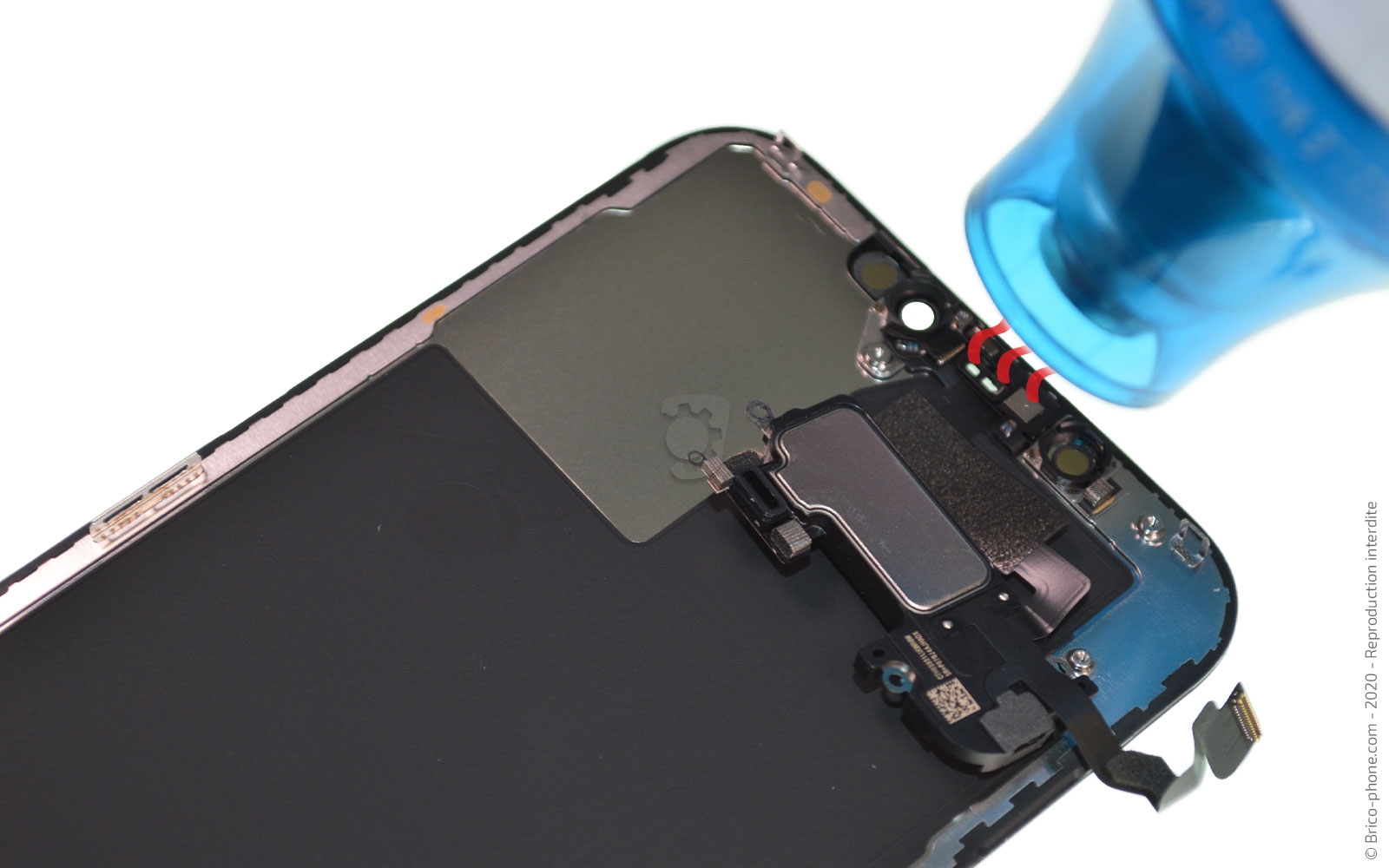 Démontage complet sur iPhone 12 Pro Max photo 4