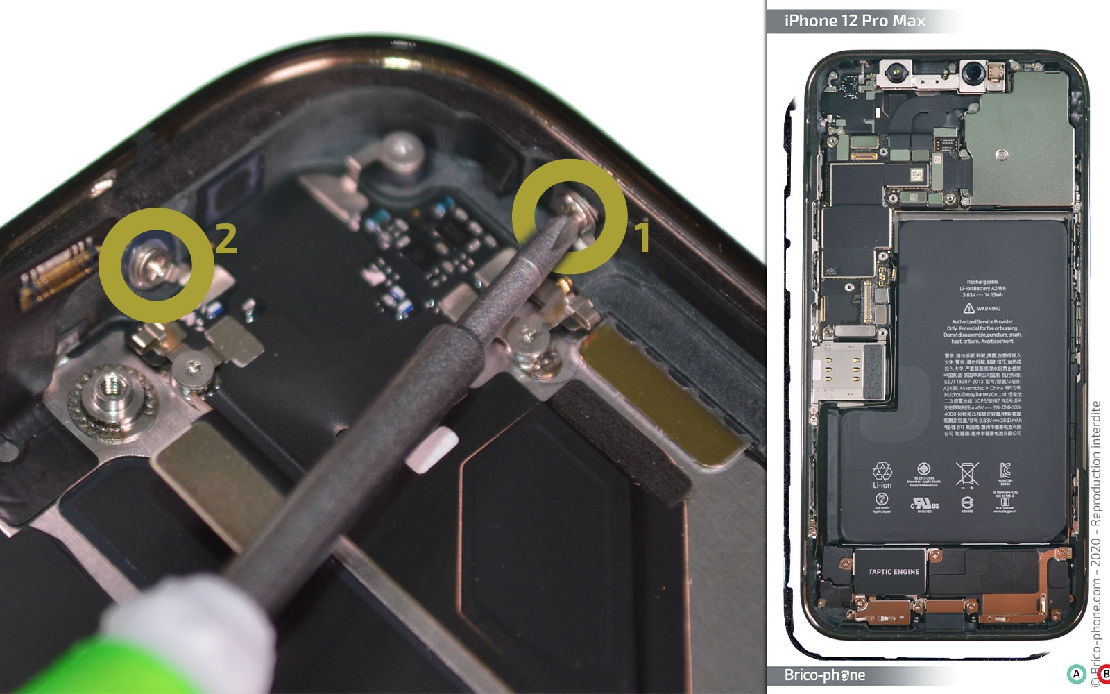 Démontage complet sur iPhone 12 Pro Max photo 1