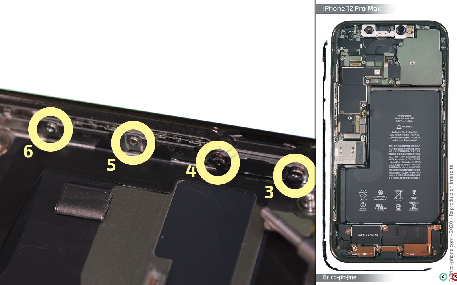 Démontage complet sur iPhone 12 Pro Max photo 4