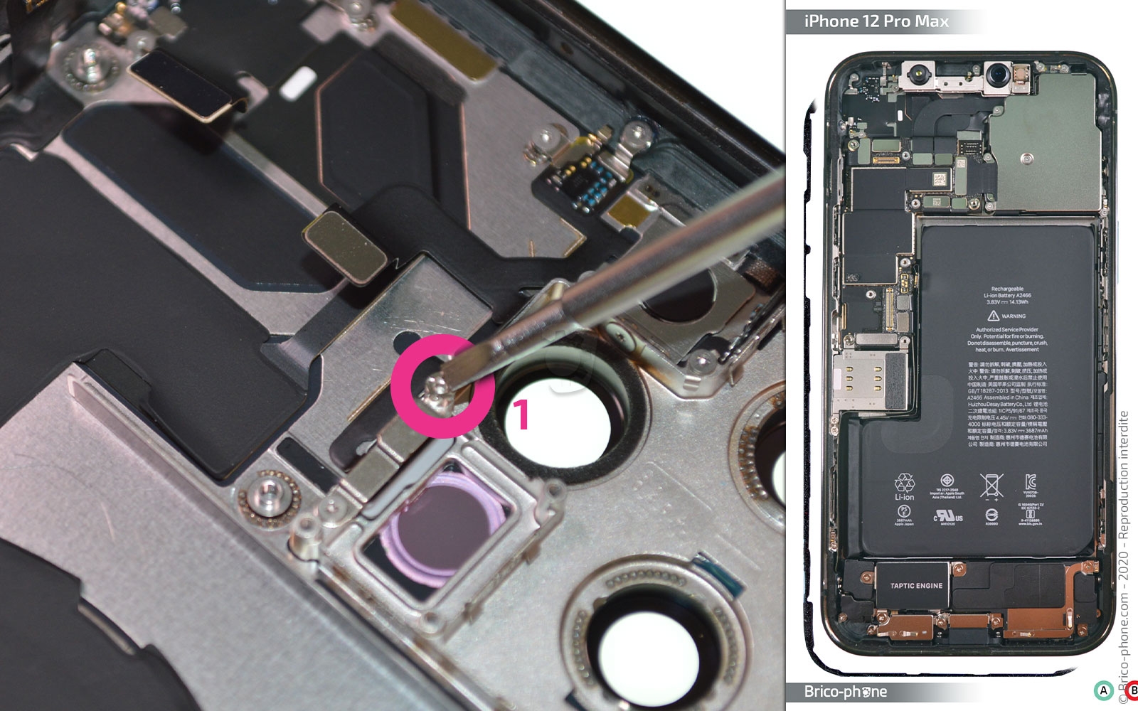 Démontage complet sur iPhone 12 Pro Max photo 1