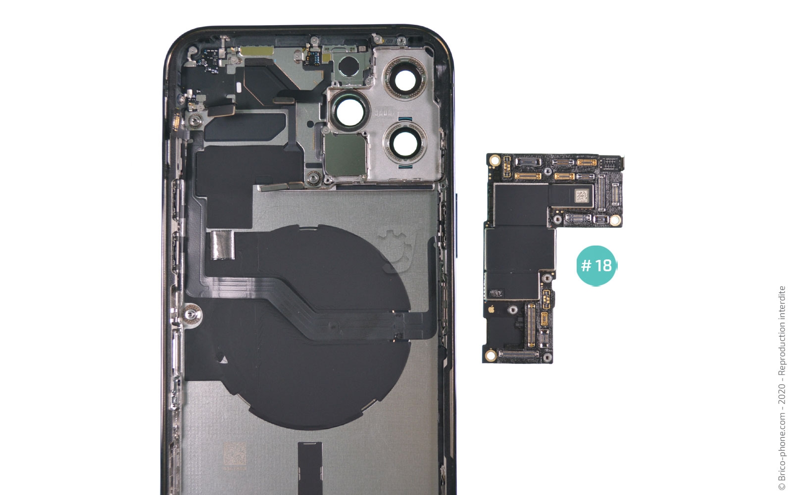 Démontage complet sur iPhone 12 Pro Max photo 4