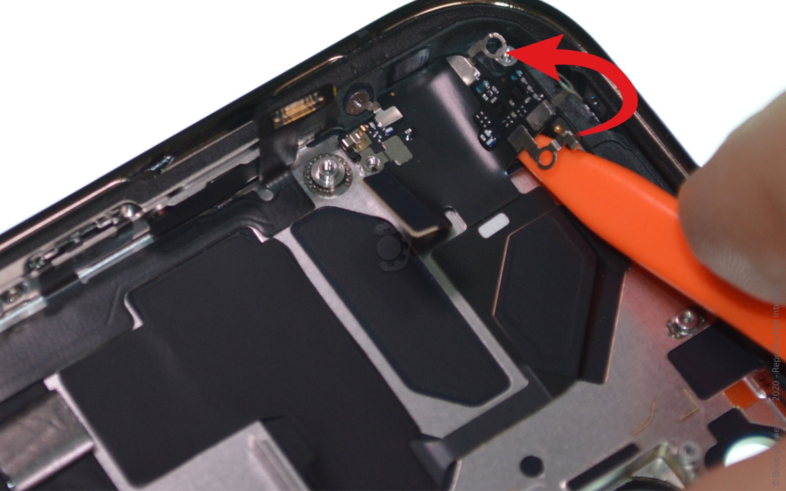 Démontage complet sur iPhone 12 Pro Max photo 2