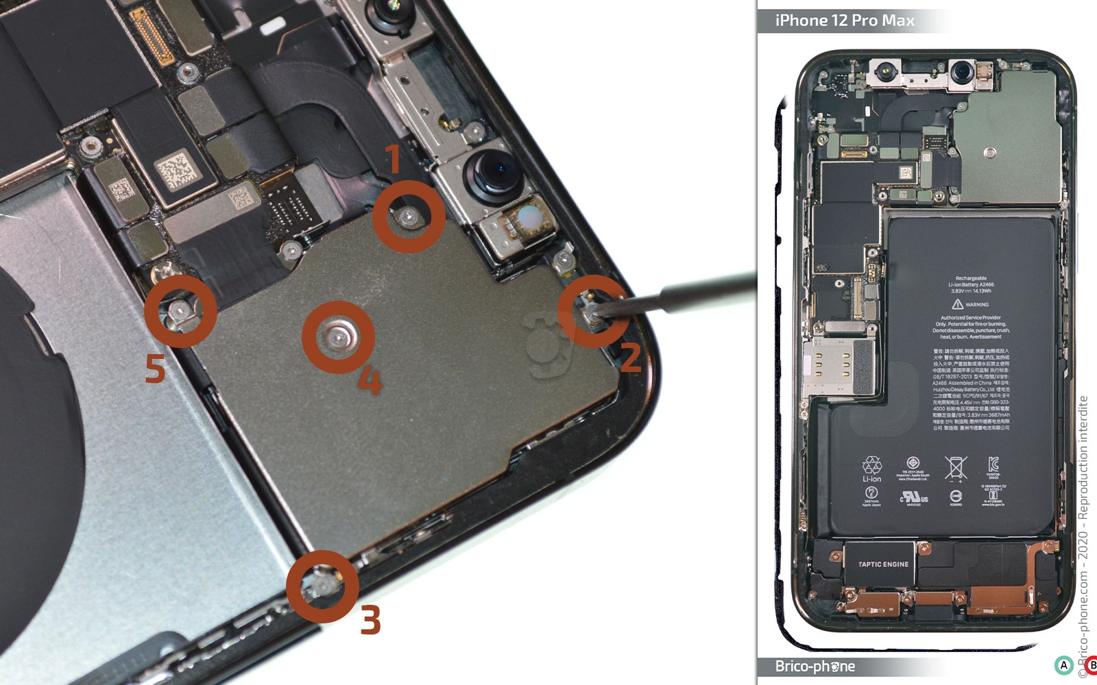 Démontage complet sur iPhone 12 Pro Max photo 1