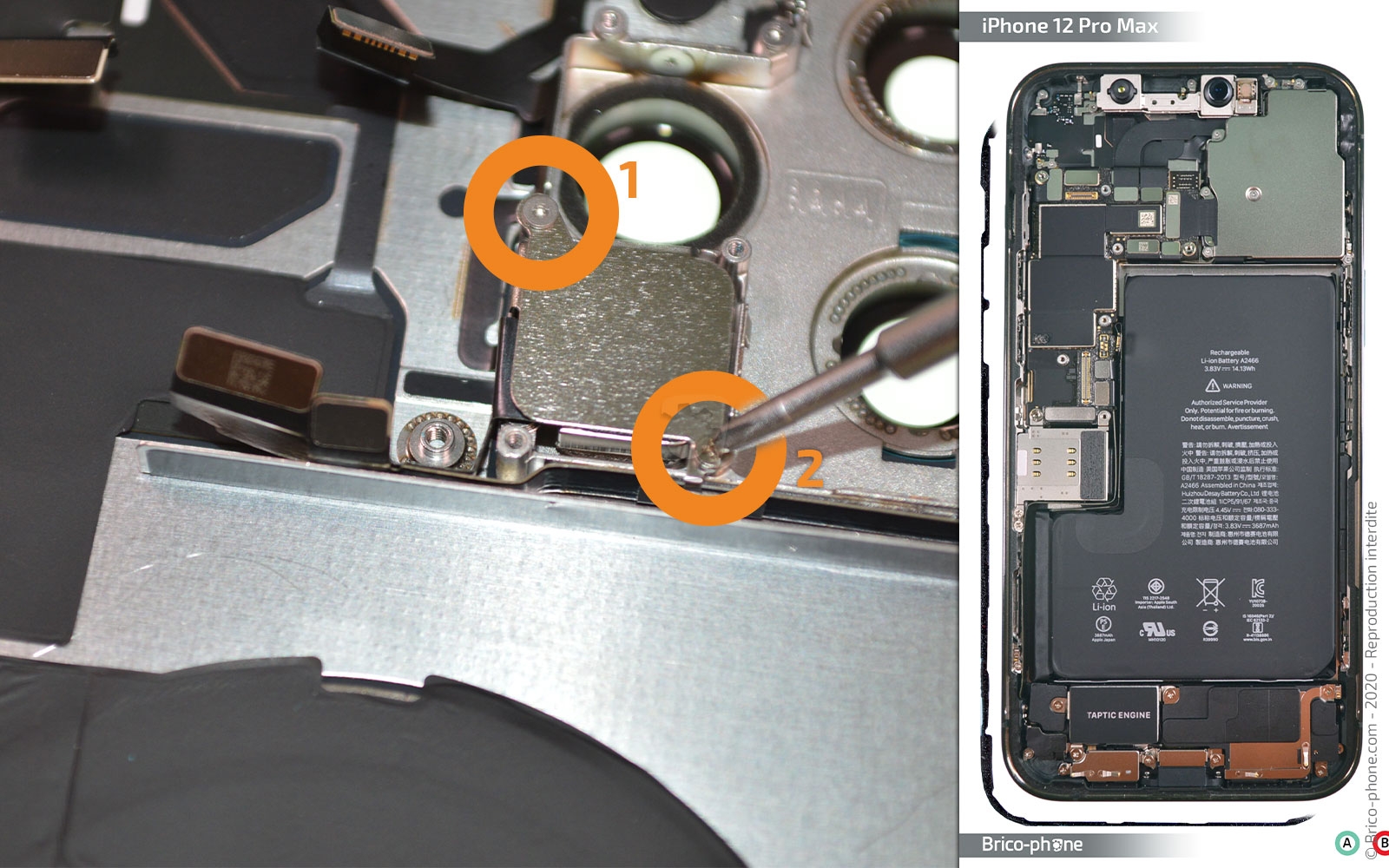 Démontage complet sur iPhone 12 Pro Max photo 1